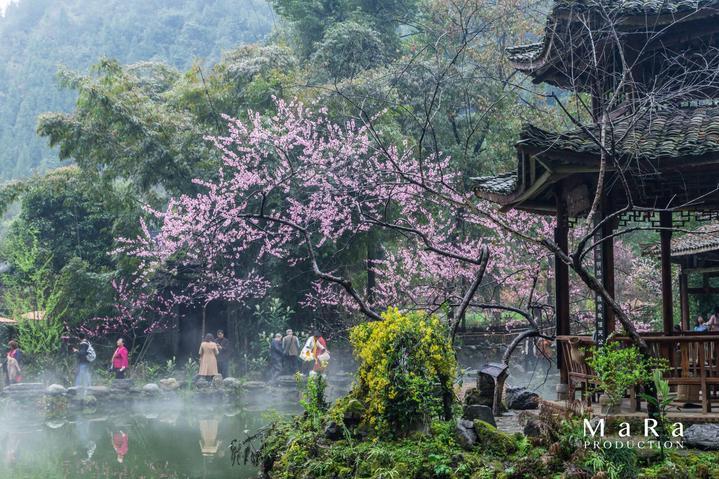 冬天自己泡“药酒”喝靠谱吗?专辑只要不犯这3个错误,建议了解