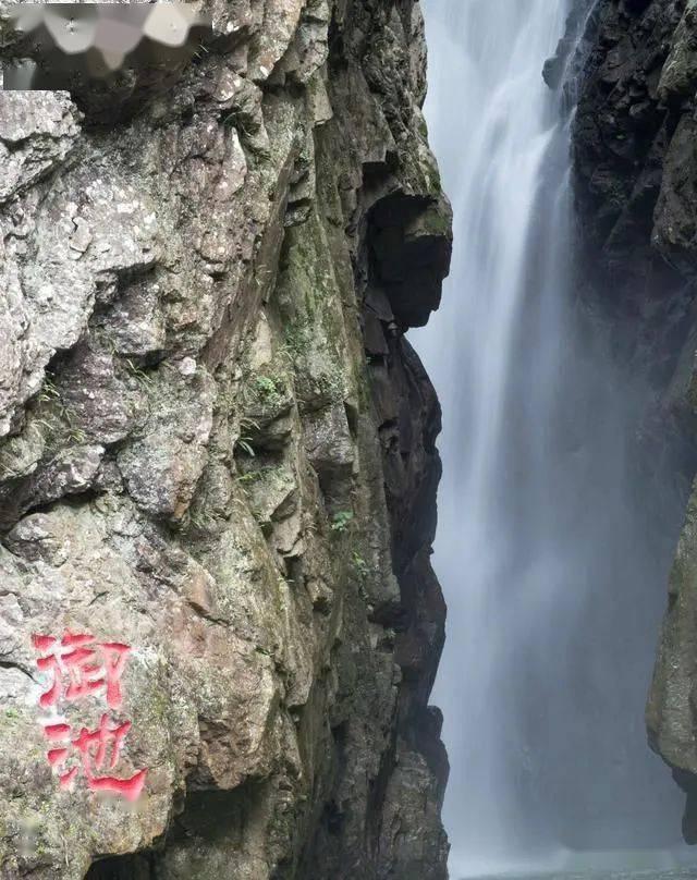 鸠村薰演员合集