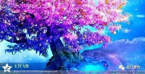 营救小乌龟